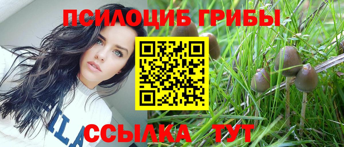 Галлюциногенные грибы мухоморы Крымск